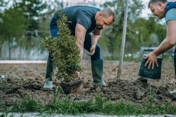 Best Leaf Removal  in Temecula, CA